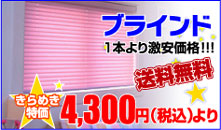 �֥饤��� 1�ܤ�ꤪ���Ǥ�����!!! ����̵�� ����᤭�ò�4,300�ߡ��ǹ��ˤ��